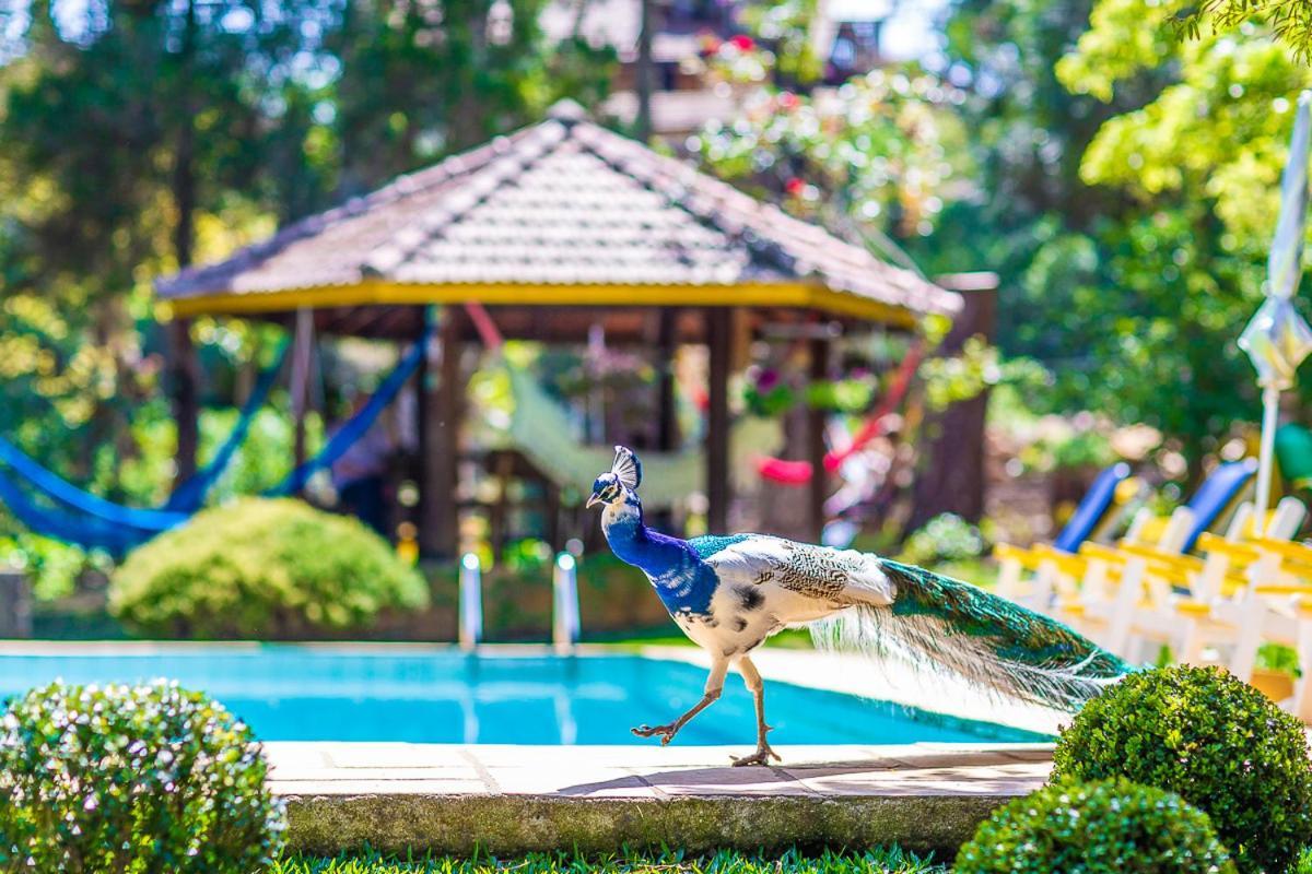 Pousada Villa D'Amore Монті-Верді Екстер'єр фото