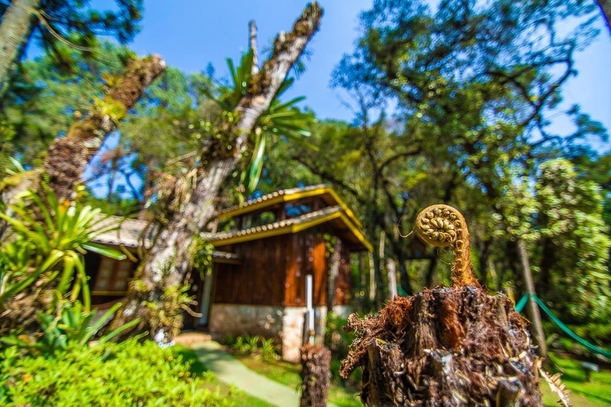 Pousada Villa D'Amore Монті-Верді Екстер'єр фото