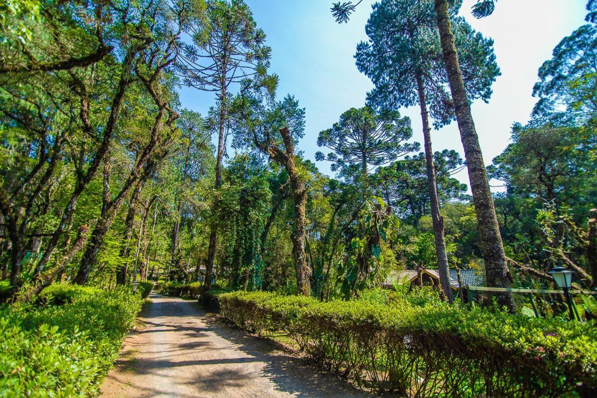 Pousada Villa D'Amore Монті-Верді Екстер'єр фото